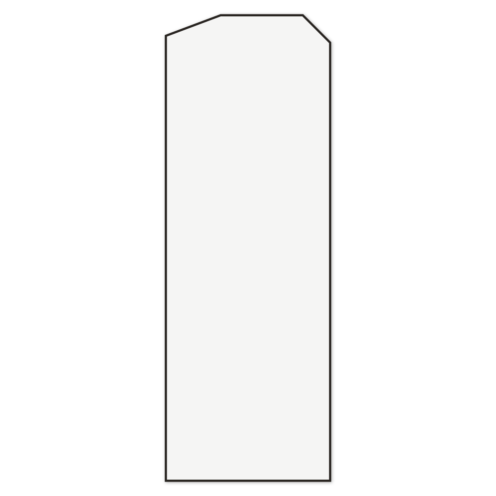 Custom Shaker Door