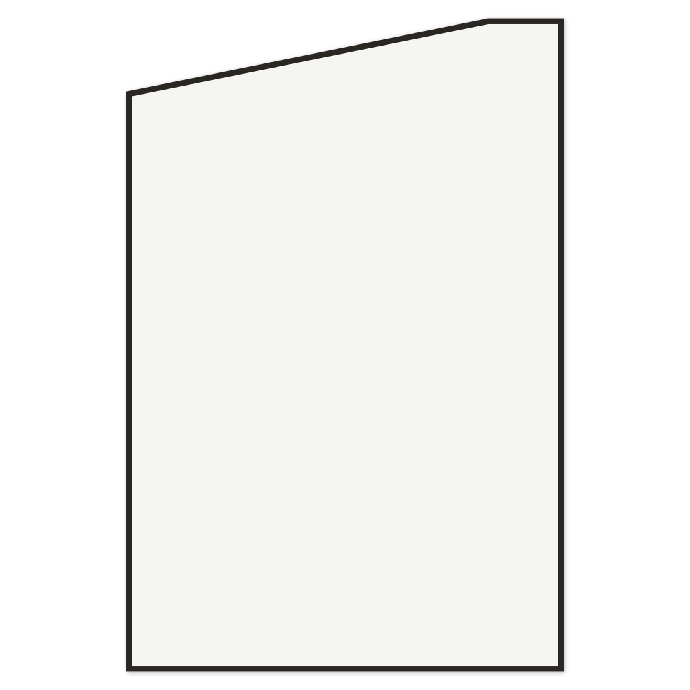 Custom Shaker Door