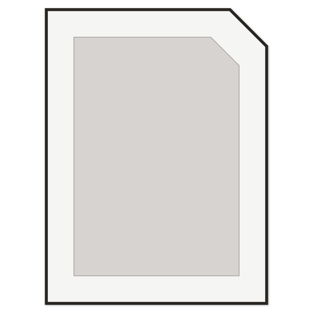 Custom Shaker Door
