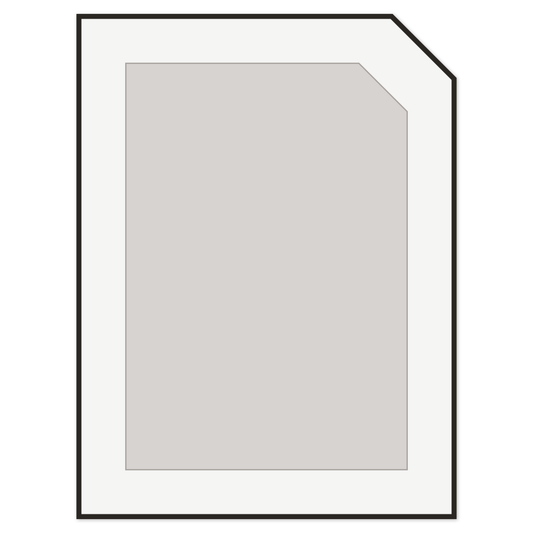 Custom Shaker Door