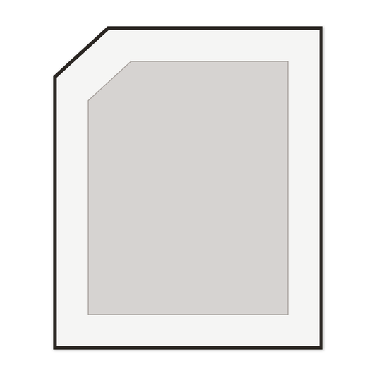 Custom Shaker Door
