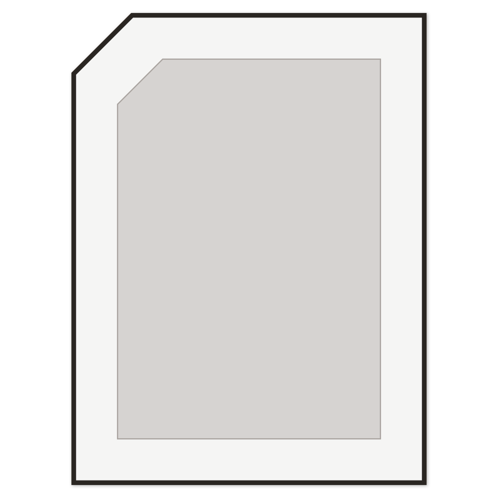 Custom Shaker Door