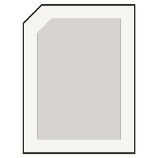 Custom Shaker Door