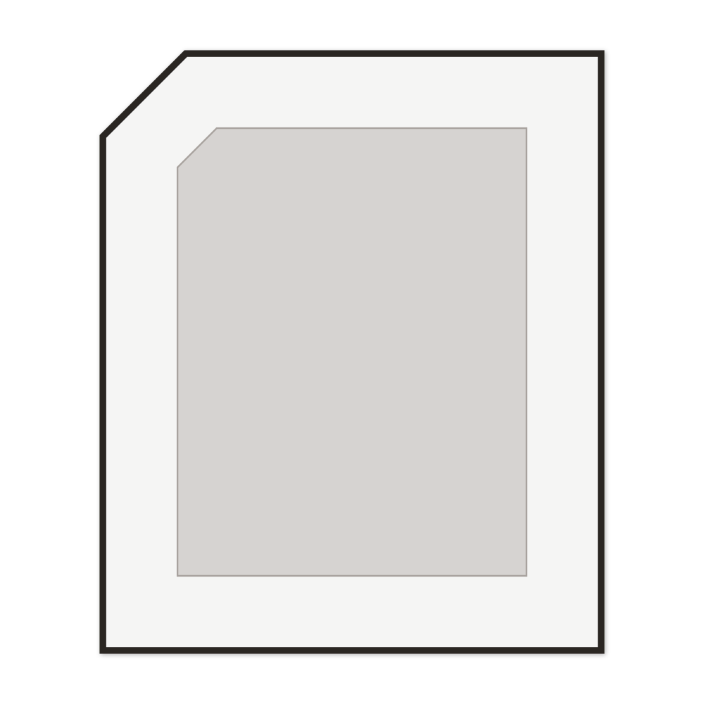 Custom Shaker Door